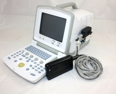 Portable WED 380V Ultrasound with Back Fat  (carcas) Probe