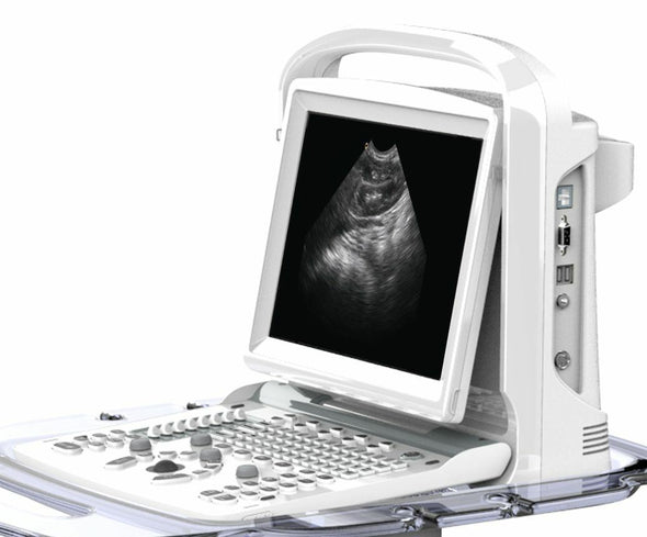 Chison ECO3Vet Veterinary Ultrasound Scanner And Micro-Convex Probe 5-8MHz