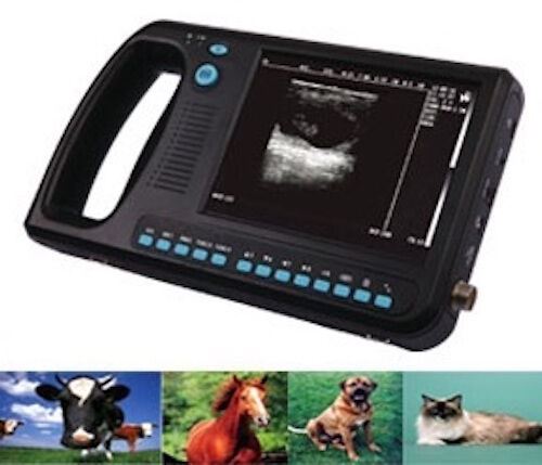 Handheld Palm Veterinary Ultrasound  WED-3000V with Rectal Probe - USA Seller