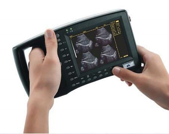 keebomed WED-3100V Veterinary Ultrasound for Large Animals