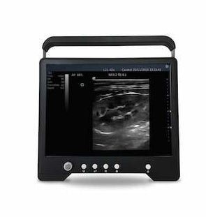 KeeboVet Veterinary Ultrasound Equipment iSonoTouch 20V